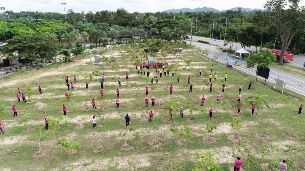 วันรักต้นไม้ประจำปีของชาติ 2564-1