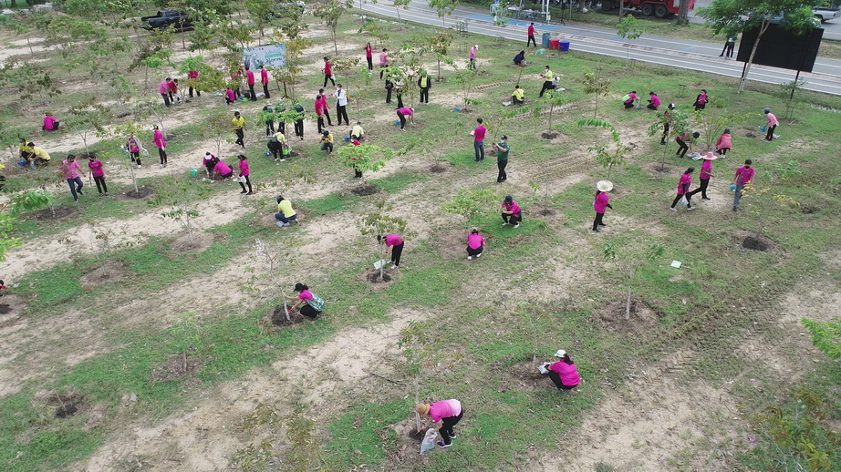 วันรักต้นไม้ประจำปีของชาติ 2564-10