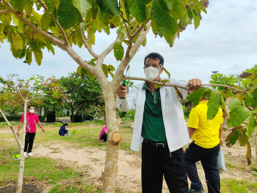 วันรักต้นไม้ประจำปีของชาติ 2564-16