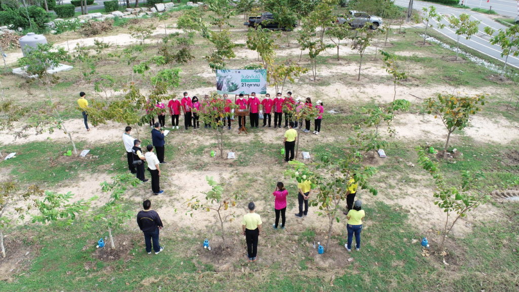 วันรักต้นไม้ประจำปีของชาติ 2564-2