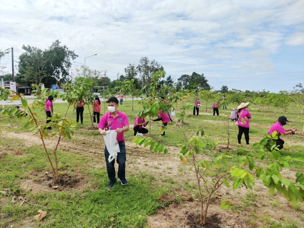 วันรักต้นไม้ประจำปีของชาติ 2564-23