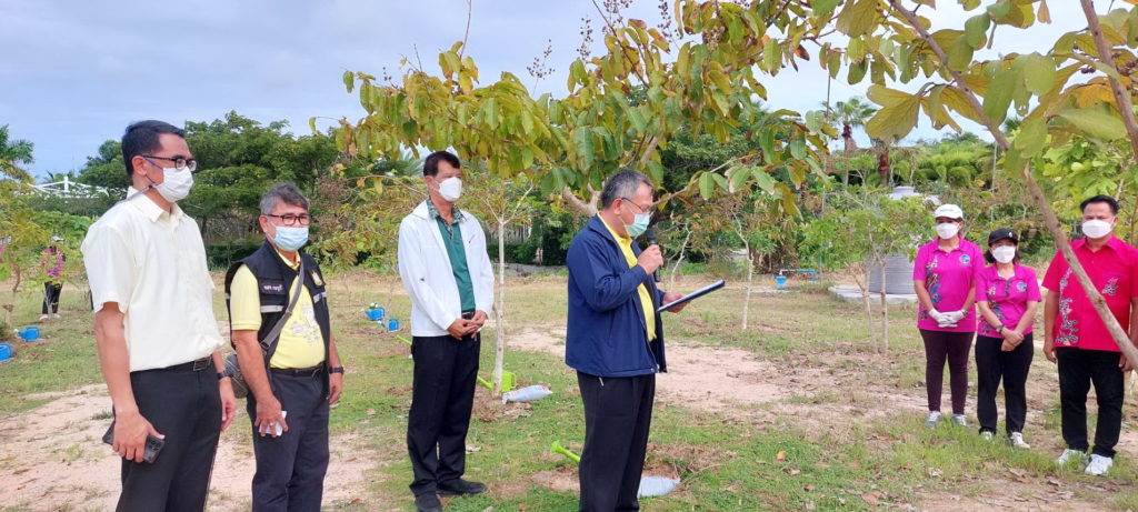 วันรักต้นไม้ประจำปีของชาติ 2564-4