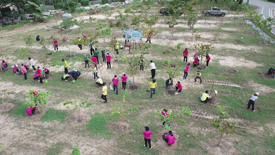 วันรักต้นไม้ประจำปีของชาติ 2564-5