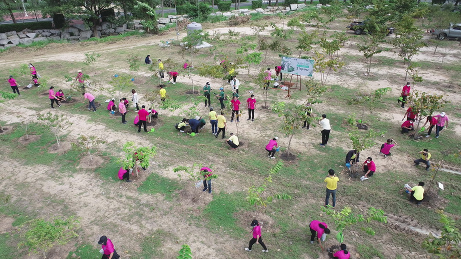 วันรักต้นไม้ประจำปีของชาติ 2564-6