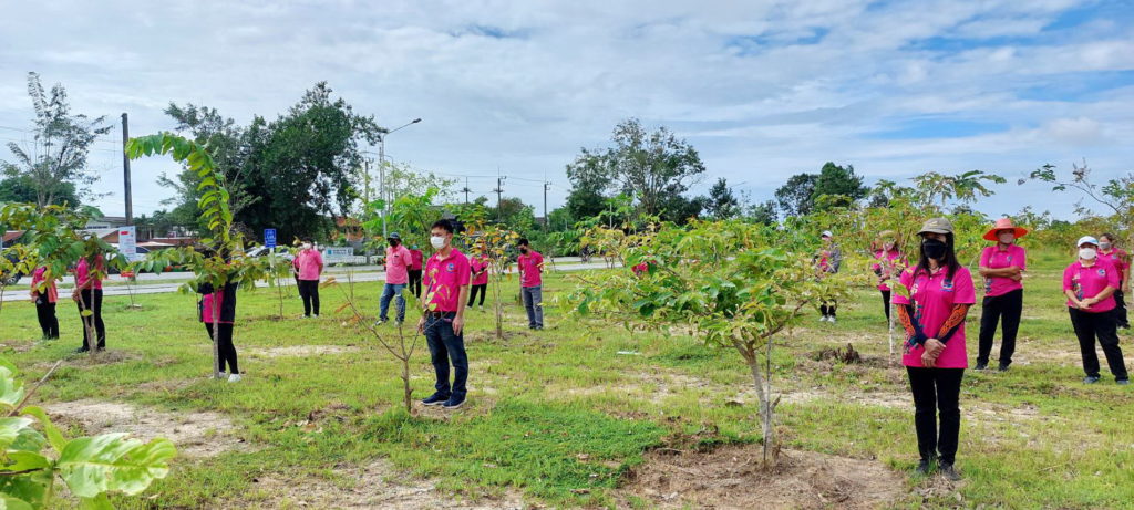 วันรักต้นไม้ประจำปีของชาติ 2564-7