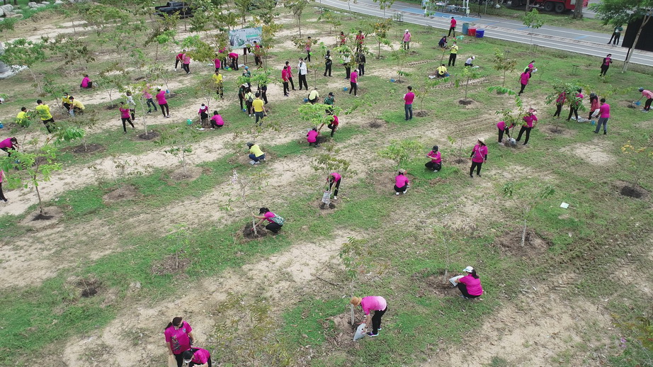 วันรักต้นไม้ประจำปีของชาติ 2564-9