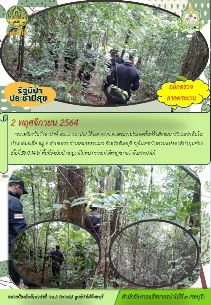วันที่ 2 พฤศจิกายน 2564 หน่วยป้องกันรักษาป่าที่ จบ.2 (เขาปอ) ได้ออกตรวจลาดตระเวนในเขตพื้นที่รับผิดชอบ บริเวณป่าซับใน บ้านบ่อมะเดื่อ หมู่ที่ 9 ตำบลพวา อำเภอแก่งหางแมว จังหวัดจันทบุรี อยู่ในเขตป่าสงวนแห่งชาติป่าเขาซ่อง เนื้อที่ 58-0-34 ไร่ พื้นที่ยังเป็นป่าสมบูรณ์ ไม่พบการกระทำผิดกฎหมายว่าด้วยการป่าไม้