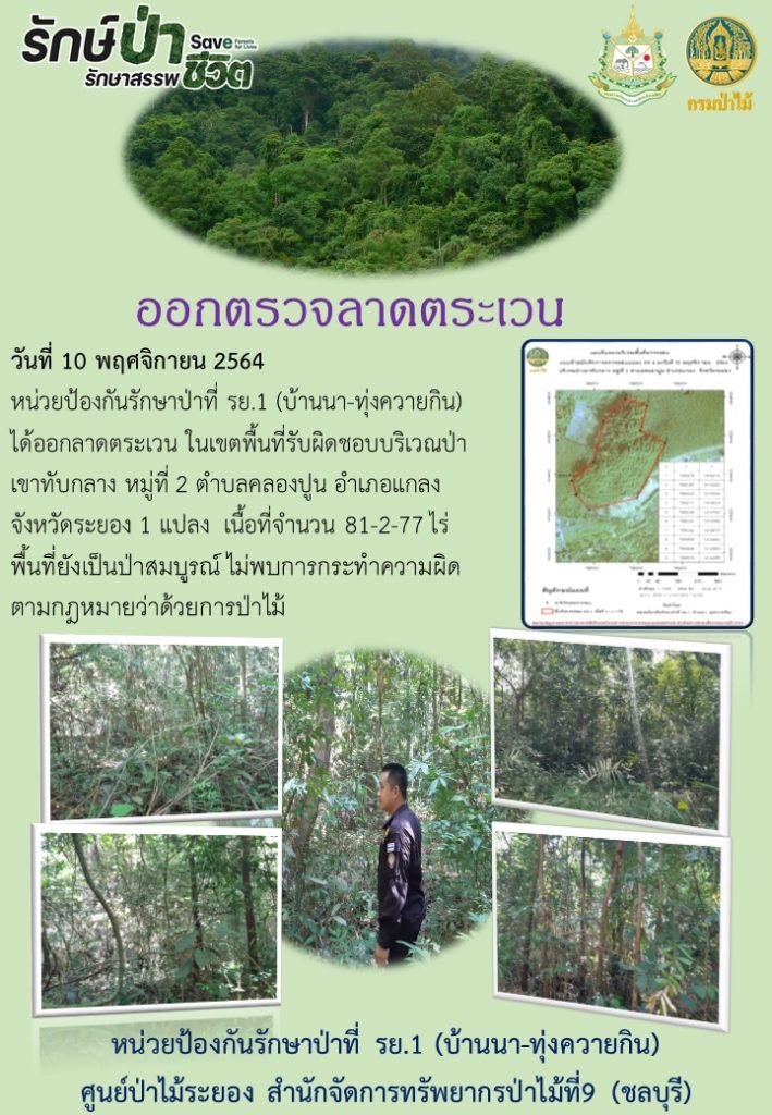 วันที่ 10 พฤศจิกายน 2564 หน่วยป้องกันรักษาป่าที่ รย.1 (บ้านนา-ทุ่งควายกิน) ได้ออกลาดตระเวนในเขตพื้นที่รับผิดชอบ บริเวณป่าเขาทับกวาง หมู่ที่ 2 ตำบลคลองปูน อำเภอแกลง จังหวัดระยอง จำนวน 1 แปลง เนื้อที่ 81-2-77 ไร่ พื้นที่ยังเป็นป่าสมบูรณ์ ไม่พบการกระทำความผิดตามกฎหมายว่าด้วยการป่าไม้