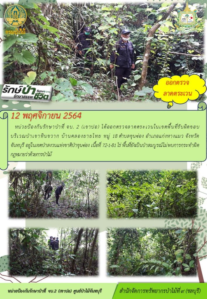 วันที่ 12 พฤศจิกายน 2564 หน่วยป้องกันรักษาป่าที่ จบ.2 (เขาปอ) ได้ออกตรวจลาดตระเวนในเขตพื้นที่รับผิดชอบบริเวณป่าเขาหินขวาก บ้านคลองยายไทย หมู่ที่ 18 ตำบลขุนซ่อง อำเภอแห่งหางแมว จังหวัดจันทบุรี อยู่ในเขตป่าสงวนแห่งชาติป่าขุนซ่อง เนื้อที่ 72-1-81 ไร่ พื้นที่ยังเป็นป่าสมบูรณ์ ไม่พบการกระทำผิดกฎหมายว่าด้วยการป่าไม้