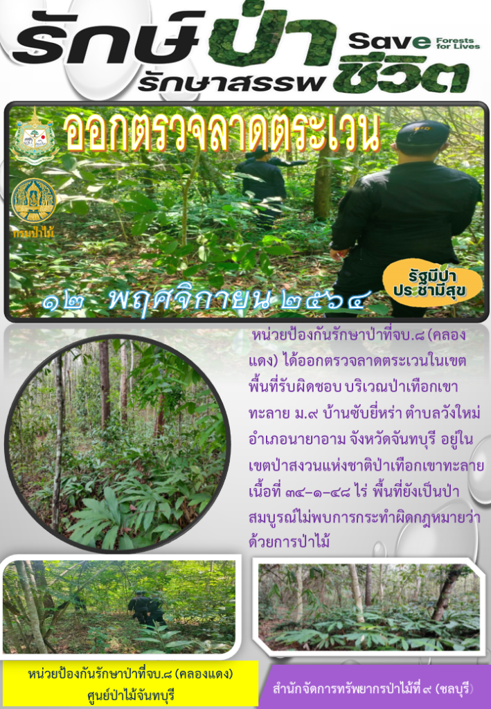 วันที่ 12 พฤศจิกายน 2564 หน่วยป้องกันรักษาป่าที่ จบ.8 (คลองแดง) ได้ออกตรวจลาดตระเวนในเขตพื้นที่รับผิดชอบ บริเวณป่าเทือกเขาทะลาย หมู่ที่ 9 บ้านซับยี่หร่า ตำบลวังใหม่ อำเภอนายายอาม จังหวัดจันทบุรี อยู่ในเขตป่าสงวนแห่งชาติป่าเทือกเขาทะลาย เนื้อที่ 34-1-48 ไร่ พื้นที่ยังเป็นป่าสมบูรณ์ ไม่พบการกระทำผิดกฎหมายว่าด้วยการป่าไม้