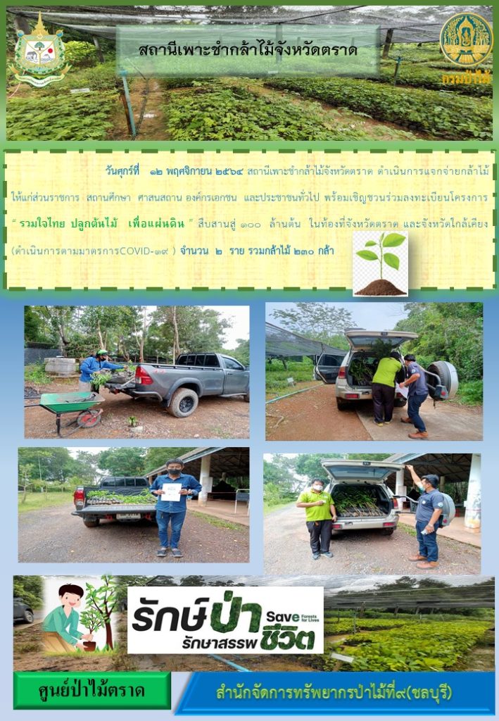 วันที่ 12 พฤศจิกายน 2564 สถานีเพาะชำกล้าไม้จังหวัดตราด ดำเนินการแจกจ่ายกล้าไม้ให้แก่ส่วนราชการ สถานศึกษา ศาสนสถาน องค์กรเอกชน และประชาชนทั่วไป พร้อมเชิญชวนร่วมลงทะเบียนโครงการ "รวมใจไทย ปลูกต้นไม้ เพื่อแผ่นดิน" สืบสานสู่ 100 ล้านต้น ในท้องที่จังหวัดตราด และจังหวัดใกล้เคียง จำนวน 2 ราย รวมกล้าไม้ 230 กล้า