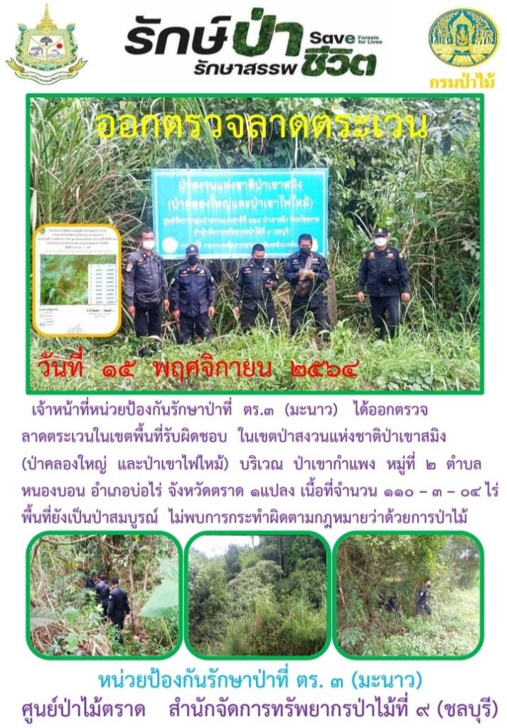 วันที่ 15 พฤศจิกายน 2564 เจ้าหน้าที่หน่วยป้องกันรักษาป่าที่ ตร.3 (มะนาว) ได้ออกตรวจลาดตระเวนในเขตพืนที่รับผิดชอบ ในเขตป่าสงวนแห่งชาติป่าเขาสมิง (ป่าคลองใหญ่และป่าเขาไฟไหม้) บริเวณป่าเขากำแพง หมู่ที่ 2 ตำบลหนองบอน อำเภอบ่อไร่ จังหวัดตราด จำนวน 1 แปลง เนื้อที่ 110-3-04 ไร่ พื้นที่ยังเป็นป่าสมบูรณ์ ไม่พบการกระทำผิดตามกฎหมายว่าด้วยการป่าไม้