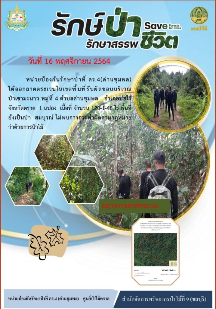 วันที่ 16 พฤศจิกายน 2564 หน่วยป้องกันรักษาป่าที่ ตร.4 (ด่านชุมพล) ได้ออกลาดตระเวนในเขตพื้นที่รับผิดชอบ บริเวณป่าเขามะนาว หมู่ที่ 4 ตำบลด่านชุมพล อำเภอบ่อไร่ จังหวัดตราด จำนวน 1 แปลง เนื้อที่ 120-1-48 ไร่ พื้นที่ยังเป็นป่าสมบูรณ์ ไม่พบการกระทำผิดกฎหมายว่าด้วยการป่าไม้