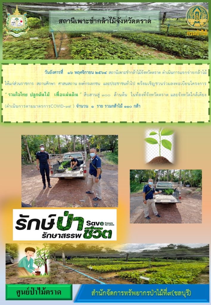 วันที่ 16 พฤศจิกายน 2564 สถานีเพาะชำกล้าไม้จังหวัดตราด ดำเนินการแจกจ่ายกล้าไม้ให้แก่ส่วนราชการ สถานศึกษา ศาสนสถาน องค๋กรเอกชน และประชาชนทั่วไป พร้อมเชิญชวนร่วมลงทะเบียนโครงการ "รวมใจไทย ปลูกต้นไม้ เพื่อแผ่นดิน" สืบสานสู่ 100 ล้านต้น ในท้องที่จังหวัดตราด และจังหวัดใกล้เคียง จำนวน 1 ราย รวมกล้าไม้ 110 กล้า