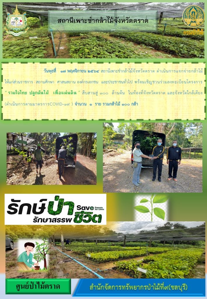 วันที่ 17 พฤศจิกายน 2564 สถานีเพาะชำกล้าไม้จังหวัดตราด ดำเนินการแจกจ่ายกล้าไม้ให้แก่ส่วนราชการ สถานศึกษา ศาสนสถาน องค๋กรเอกชน และประชาชนทั่วไป พร้อมเชิญชวนร่วมลงทะเบียนโครงการ "รวมใจไทย ปลูกต้นไม้ เพื่อแผ่นดิน" สืบสานสู่ 100 ล้านต้น ในท้องที่จังหวัดตราด และจังหวัดใกล้เคียง จำนวน 1 ราย รวมกล้าไม้ 100 กล้า