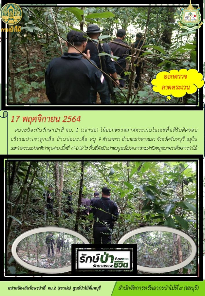 วันที่ 17 พฤศจิกายน 2564 หน่วยป้องกันรักษาป่าที่ จบ.2 (เขาปอ) ได้ออกตรวจลาดตระเวนในเขตพื้นที่รับผิดชอบ บริเวณป่าเขาลูกเสือ บ้านบ่อมะเดื่อ หมู่ที่ 9 ตำบลพวา อำเภอแก่งหางแมว จังหวัดจันทบุรี อยู่ในเขตป่าสงวนแห่งชาติป่าขุนซ่อง เนื้อที่ 72-0-32 ไร่ พื้นที่ยังเป็นป่าสมบูรณ์ ไม่พบการกระทำผิดกฎหมายว่าด้วยการป่าไม้