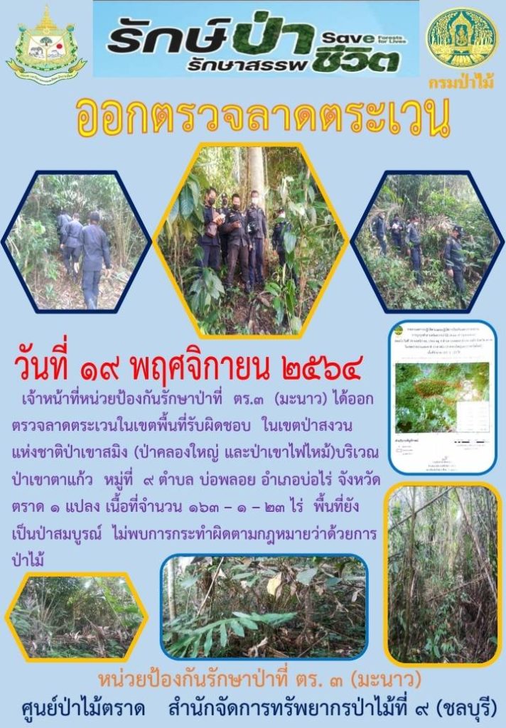 วันที่ 19 พฤศจิกายน 2564 เจ้าหน้าที่หน่วยป้องกันรักษาป่าที่ ตร.3 (มะนาว) ได้ออกตรวจลาดตระเวนในเขตพื้นที่รับผิดชอบ ในเขตป่าสงวนแห่งชาติป่าเขาสมิง (ป่าคลองใหญ่และป่าเขาไฟไหม้) บริเวณป่าเขาตาแก้ว หมู่ที่ 9 ตำบลบ่อพลอย อำเภอบ่อไร่ จังหวัดตราด จำนวน 1 แปลง เนื้อที่ 163-1-23 ไร่ พื้นที่ยังเป็นป่าสมบูรณ์ ไม่พบการกระทำผิดตามกฎหมายว่าด้วยการป่าไม้