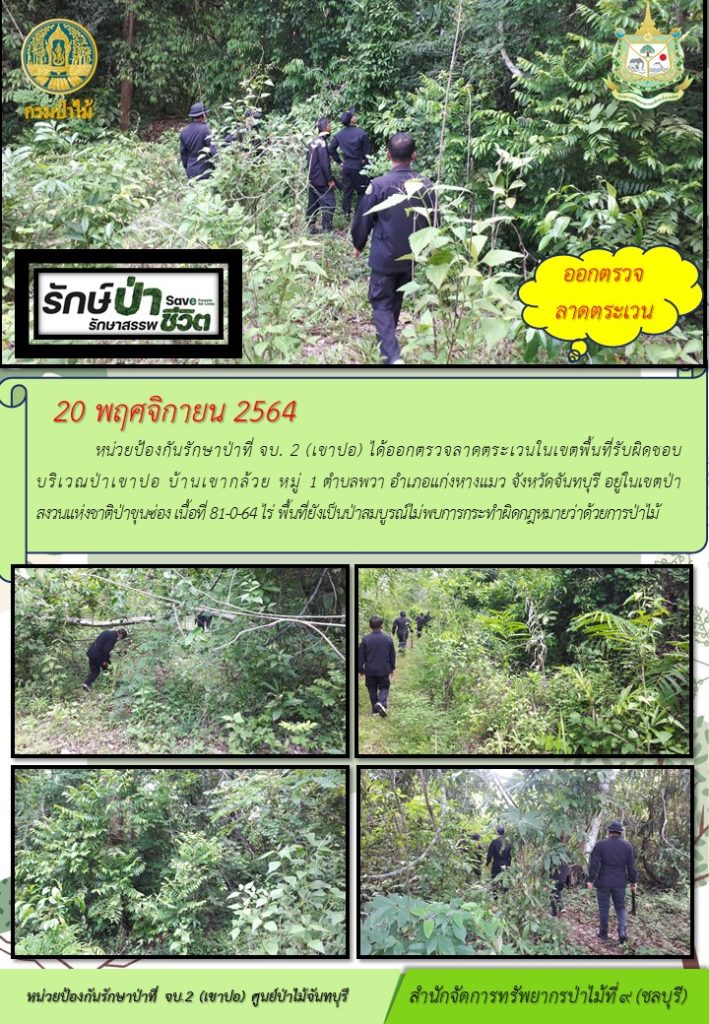 วันที่ 20 พฤศจิกายน 2564 หน่วยป้องกันรักษาป่าที่ จบ.2 (เขาปอ) ได้ออกตรวจลาดตระเวนในเขตพื้นที่รับผิดชอบบริเวณป่าเขาปอ บ้านเขากล้วย หมู่ที่ 1 ตำบลพวา อำเภอแก่งหางแมว จังหวัดจันทบุรี อยู่ในเขตป่าสงวนแห่งชาติดป่าขุนซ่อง เนื้อที่ 81-0-64 ไร่ พื้นที่ยังเป็นป่าสมบูรณ์ ไม่พบการกระทำผิดกฎหมายว่าด้วยการป่าไม้