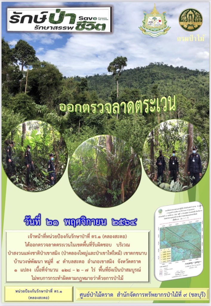 วันที่ 21 พฤศจิกายน 2564 เจ้าหน้าที่หน่วยป้องกันรักษาป่าที่ ตร.1 (คลองสะตอ) ได้ออกตรวจลาดตระเวนในเขตพื้นที่รับผิดชอบ บริเวณป่าสงวนแห่งชาติป่าเขาสมิง (ป่าคลองใหญ่และป่าเขาไฟไหม้) เขาตกขนาบ บ้านวงษ์พัฒนา หมู่ที่ 4 ตำบลสะตอ อำเภอเขาสมิง จังหวัดตราด จำนวน 1 แปลง เนื้อที่ 128-2-7 ไร่ พื้นที่ยังเป็นป่าสมบูรณ์ ไม่พบการกระทำผิดตามกฎหมายว่าด้วยการป่าไม้