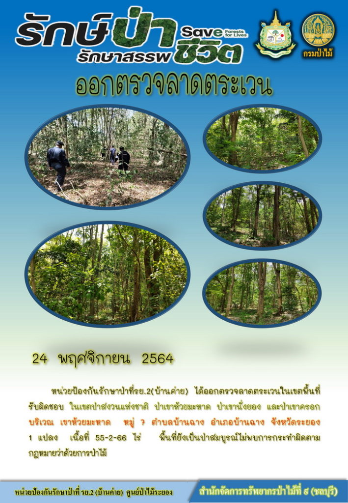 วันที่ 24 พฤศจิกายน 2564 หน่วยป้องกันรักษาป่าที่ รย.2 (บ้านค่าย) ได้ออกตรวจลาดตระเวนในเขตพื้นที่รับผิดชอบ ในเขตป่าสงวนแห่งชาติ ป่าเขาห้วยมะหาด ป่าเขานั่งยาง และป่าเขาครอก บริเวณเขาห้วยมมะหาด หมู่ที่ 7 ตำบลบ้านฉาง จังหวัดระยอง จำนวน 1 แปลง เนื้อที่ 55-2-66 ไร่ พื้นที่ยังเป็นป่าสมบูรณ์ ไม่พบการกระทำผิดตามกฎหมายว่าด้วยการป่าไม้