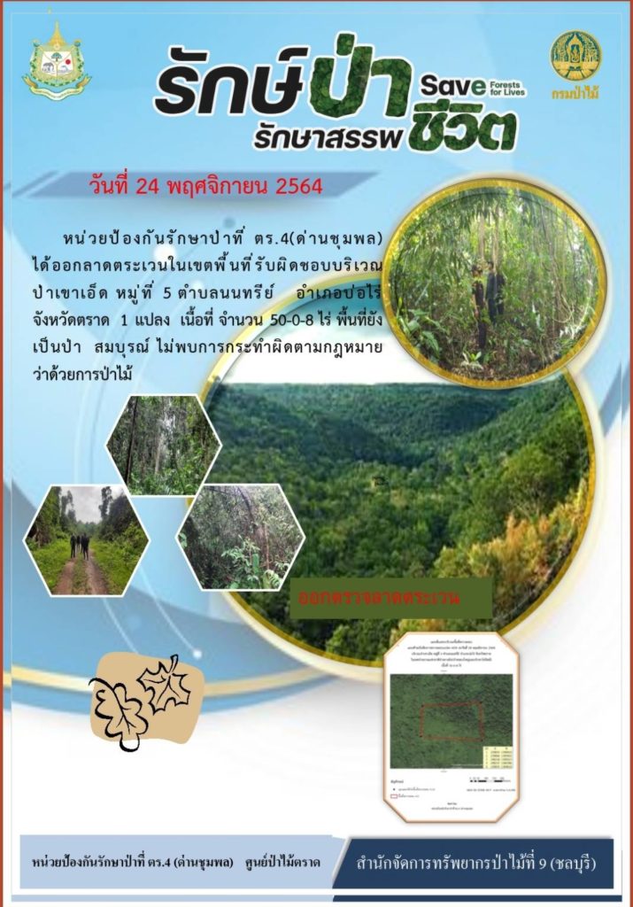 วันที่ 24 พฤศจิกายน 2564 หน่วยป้องกันรักษาป่าที่ ตร.4 (ด่านชุมพล) ได้อกลาดตระเวนในเขตพื้นที่รับผิดชอบ บริเวณป่าเขาเอ็ด หมู่ที่ 5 ตำบลนนทรีย์ อำเภอบ่อไร่ จังหวัดตราด จำนวน 1 แปลง เนื้อที่ 50-0-8 ไ ร่ พื้นที่ยังเป็นป่าสมบูรณ์ ไม่พบการกระทำผิดตามกฎหมายว่าด้วยการป่าไม้