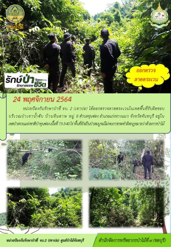 วันที่ 24 พฤศจิกายน 2564 หน่วยป้องกันรักษาป่าที่ จบ2 (เขาปอ) ได้ออกตรวจลาดตระเวนในเขตพื้นที่รับผิดชอบ บริเวณป่าเขาน้ำซับ บ้านหินดาษ หมู่ที่ 8 ตำบลขุนซ่อง อำเภอแก่งหางแมว จังหวัดจันทบุรี อยู่ในเขตป่าสงวนแห่งชาติป่าขุนซ่อง เนื้อที่ 73-3-40 ไร่ พื้นที่ยังเป็นป่าสมบูรณ์ ไม่พบการกระทำผิดกฎหมายว่าด้วยการป่าไม้