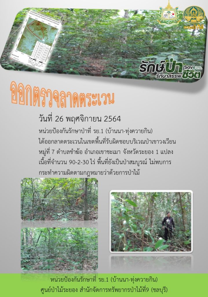 วันที่ 26 พฤศจิกายน 2564 หน่วยป้องกันรักษาป่าที่ รย.1 (บ้านนา-ทุ่งควายกิน) ได้ออกลาดตระเวนในเขตพื้นที่รับผิดชอบ บริเวณป่าเขาวงเวียน หมู๋ที่ 7 ตำบลชำฆ้อ อำเภอเขาชะเมา จังหวัดระยอง จำนวน 1 แปลง เนื้อที่ 90-2-30 ไร่ พื้นที่ยังเป็นป่าสมบูรณ์ ไม่พบการกระทำผิดตามกฎหมายว่าด้วยการป่าไม้