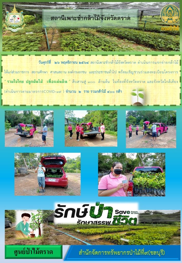 วันที่ 26 พฤศจิกายน 2564 สถานีเพาะชำกล้าไม้จังหวัดตราด ดำเนินการแจกจ่ายกล้าไม้ให้แก่ส่วนราชการ สถานศึกษา ศาสนสถาน องค์กรเอกชน และประชาชนทั่วไป พร้อมเชิญชวนร่วมลงทะเบียนโครงการ "รวมใจไทย ปลูกต้นไม้ เพื่อแผ่นดิน" สืบสานสู่ 100 ล้านต้น ในท้องที่จังหวัดตราด และจังหวัดใกล้เคียง จำนวน 2 ราย รวมกล้าไม้ 400 กล้า
