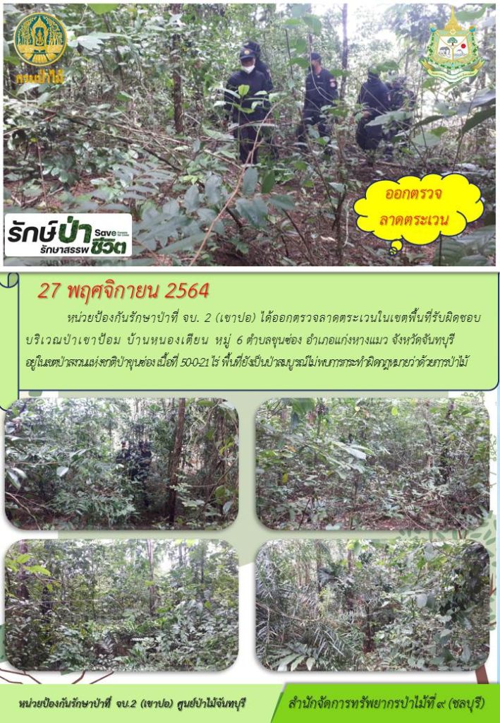 วันที่ 27 พฤศจิกายน 2564 หน่วยป้องกันรักษาป่าที่ จบ.2 (เขาปอ) ได้ออกตรวจลาดตระเวนในเขตพื้นที่รับผิดชอบ บริเวณป่าเขาป้อม บ้านหนองเตียน หมู่ที่ 6 ตำบลขุนซ่อง อำเภอแก่งหางแมว จังหวัดจันทบุรี อยู่ในเขตป่าสงวนแห่งชาติป่าขุนซ่อง เนื้อที่ 50-0-21 ไร่ พื้นที่ยังเป็นป่าสมบูรณ์ ไม่พบการกระทำผิดกฎหมายว่าด้วยการป่าไม้