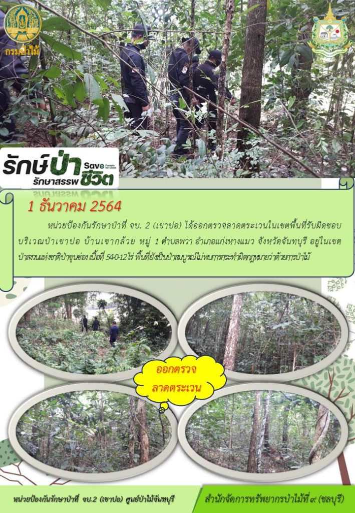 วันที่ 1 ธันวาคม 2564 หน่วยป้องกันรักษาป่าที่ จบ.2 (เขาปอ) ได้ออกตรวจลาดตระเวนในเขตพื้นที่รับผิดชอบ บริเวณป่าเขาปอ บ้านเขากล้วย หมู่ที่ 1 ตำบลพวา อำเภอแก่งหางแมว จังหวัดจันทบุรี อยู่ในเขตป่าสงวนแห่งชาติป่าขุนซ่อง เนื้อที่ 54-0-12 ไร่ พื้นที่ยังเป็นป่าสมบูรณ์ ไม่พบการกระทำผิดกฎหมายว่าด้วยการป่าไม้