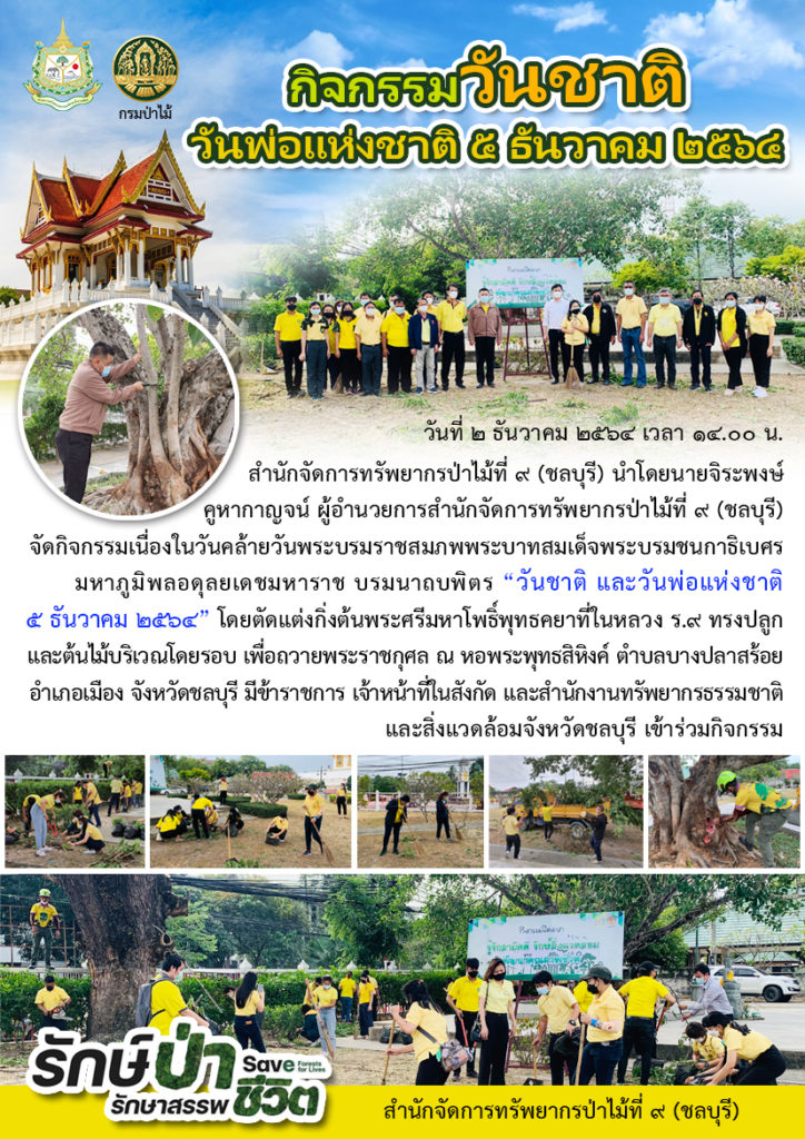 วันที่ 2 ธันวาคม 2564 เวลา 14.00 น. สำนักจัดการทรัพยากรป่าไม้ที่ 9 (ชลบุรี) นำโดยนายจิระพงษ์ คูหากาญจน์ ผู้อำนวยการสำนักจัดการทรัพยากรป่าไม้ที่ 9 (ชลบุรี) จัดกิจกรรมเนื่องในวันคล้ายวันพระบรมราชสมภพพระบาทสมเด็จพระบรมชนกาธิเบศร มหาภูมิพลอดุลยเดชมหาราช บรมนาถบพิตร “วันชาติ และวันพ่อแห่งชาติ 5 ธันวาคม 2564” โดยตัดแต่งกิ่งต้นพระศรีมหาโพธิ์พุทธคยาที่ในหลวง ร.9 ทรงปลูก และต้นไม้บริเวณโดยรอบ เพื่อถวายพระราชกุศล ณ หอพระพุทธสิหิงค์ ตำบลบางปลาสร้อย อำเภอเมือง จังหวัดชลบุรี มีข้าราชการ เจ้าหน้าที่ในสังกัด และสำนักงานทรัพยากรธรรมชาติและสิ่งแวดล้อมจังหวัดชลบุรี เข้าร่วมกิจกรรม