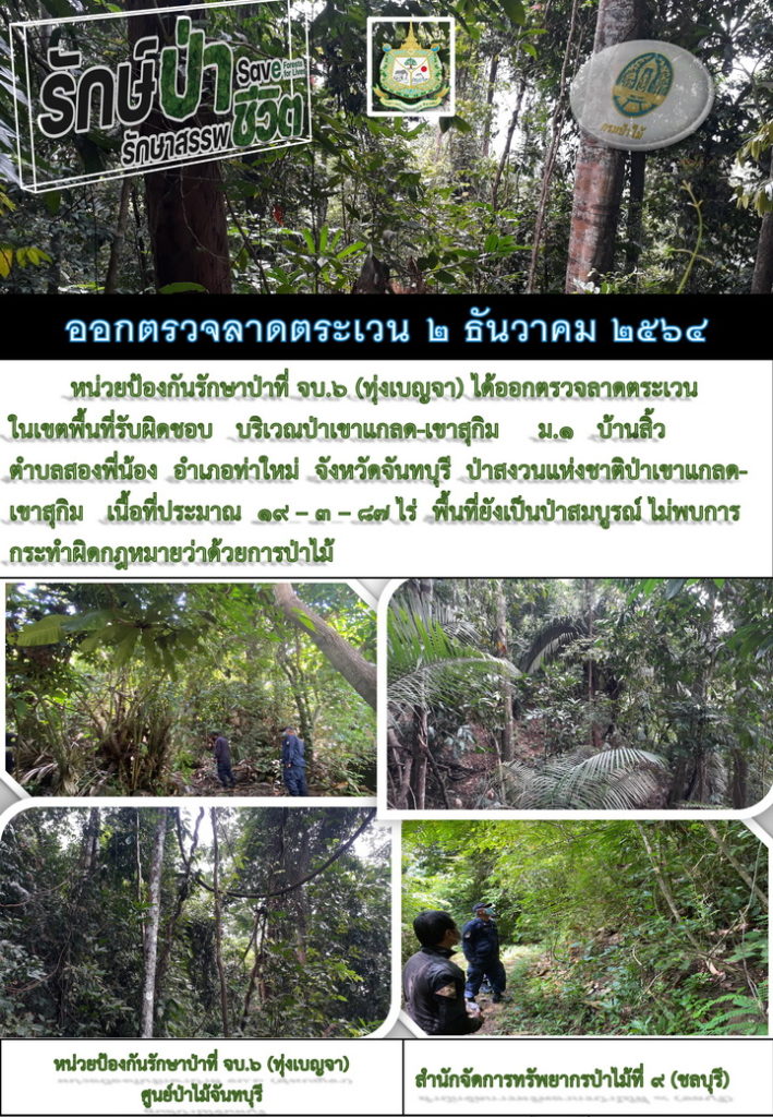 วันที่ 2 ธันวาคม 2564 หน่วยป้องกันรักษาป่าที่ จบ.6 (ทุ่งเบญจา) ได้ออกตรวจลาดตระเวนในเขตพื้นที่รับผิดชอบ บริเวณป่าเขาแกลด-เขาสุกิม หมู่ที่ 1 บ้านสิ้ว ตำบลสองพี่น้อง อำเภอท่าใหม่ จังหวัดจันทบุรี ป่าสงวนแห่งชาติป่าเขาแกลด-เขาสุกิม เนื้อที่ประมาณ 19-3-87 ไร่ พื้นที่ยังเป็นป่าสมบูรณ์ ไม่พบการกระทำผิดกฎหมายว่าด้วยการป่าไม้