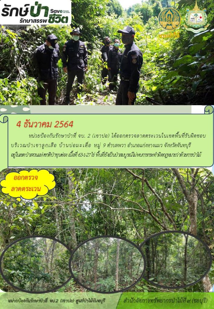 วันที่ 4 ธันวาคม 2564 หน่วยป้องกันรักษาป่าที่ จบ.2 (เขาปอ) ได้ออกตรวจลาดตระเวนในเขตพื้นที่รับผิดชอบ บริเวณป่าเขาลูกเสือ บ้านบ่อมะเดื่อ หมู่ที่ 9 ตำบลพวา อำเภอแก่งหางแมว จังหวัดจันทบุรี อยู่ในเขตป่าสงวนแห่งชาติป่าขุนซ่อง เนื้อที่ 63-1-27 ไร่ พื้นที่ยังเป็นป่าสมบูรณ์ ไม่พบการกระทำผิดกฎหมายว่าด้วยการป่าไม้