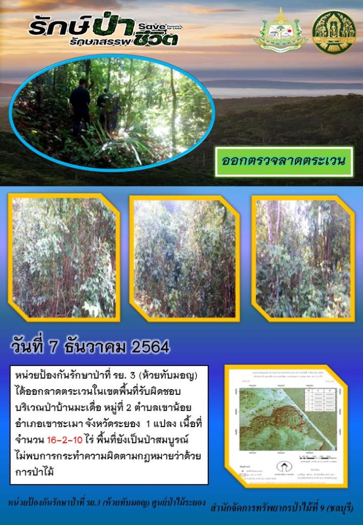 วันที่ 7 ธันวาคม 2564 หน่วยป้องกันรักษาป่าที่ รย.3 (ห้วยทับมอญ) ได้ออกลาดตระเวนในเขตพื้นที่รับผิดชอบ บริเวณป่าบ้านมะเดื่อ หมู่ที่ 2 ตำบลเขาน้อย อำเภอเขาชะเมา จังหวัดดระยอง จำนวน 1 แปลง เนื้อที่ 16-2-10 ไร่ พื้นที่ยังเป็นป่าสมบูรณ์ ไม่พบการกระทำความผิดตามกฎหมายว่าด้วยการป่าไม้