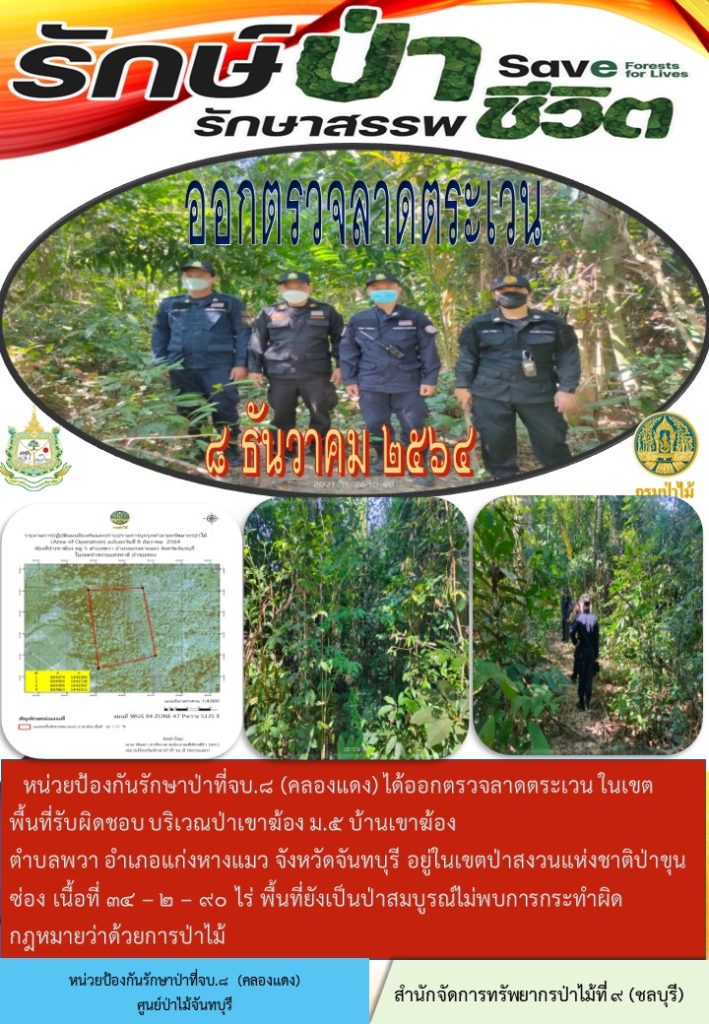 วันที่ 8 ธันวาคม 2564 หน่วยป้องกันรักษาป่าที่ จบ.8 (คลองแดง) ได้ออกตรวจลาดตระเวนในเขตพื้นที่รับผิดชอบ บริเวณป่าเขาฆ้อง หมู่ที่ 5 บ้านเขาฆ้อง ตำบลพวา อำเภอแก่งหางแมว จังหวัดจันทุบรี อยู่ในเขตป่าสงวนแห่งชาติป่าขุนซ่อง เนื้อที่ 34-2-90 ไร่ พื้นที่ยังเป็นป่าสมบูรณ์ ไม่พบการกระทำผิดกฎหมายว่าด้วยการป่าไม้
