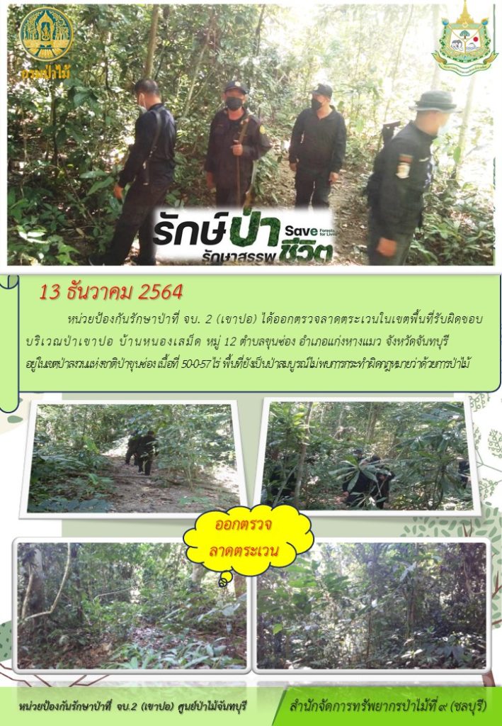 วันที่ 13 ธันวาคม 2564 หน่วยป้องกันรักษาป่าที่ จบ.2 (เขาปอ) ได้ออกตรวจลาดตระเวนในเขตพื้นที่รับผิดชอบ บิรเวณป่าเขาปอ บ้านหนองเสม็ด หมู่ที่ 12 ตำบลขุนซ่อง อำเภอแก่งหางแมว จังหวัดจันทุบรี อยู่ในเขตป่าสงวนแห่งชาติป่าขุนซ่อง เนื้อที่ 50-0-57 ไร่ พื้นที่ยังเป็นป่าสมบูรณ์ ไม่พบการกระทำผิดกฎหมายว่าด้วยการป่าไม้