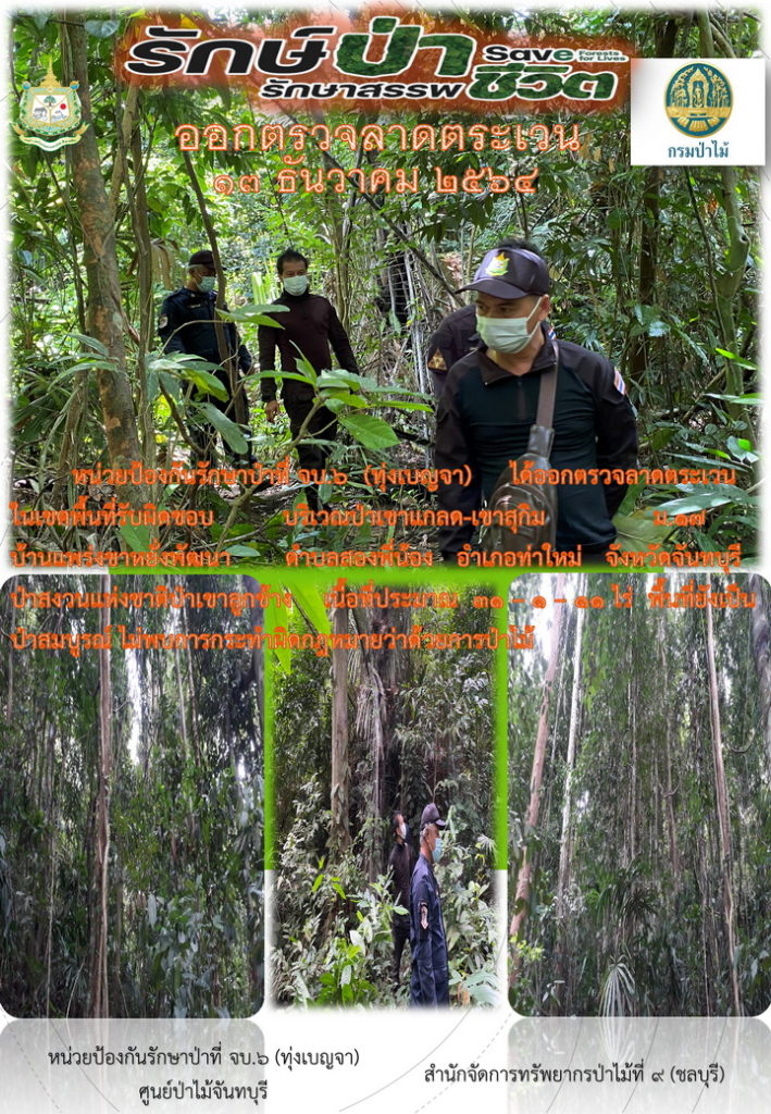 วันที่ 13 ธันวาคม 2564 หน่วยป้องกันรักษาป่าที่ จบ.6 (ทุ่งเบญจา) ได้ออกตรวจลาดตระเวนในเขตพื้นที่รับผิดชอบ บริเวณป่าเขาแกลด-เขาสุกิม หมู่ที่ 17 บ้านแพร่งเขาหยั่งพัฒนา ตำบลสองพี่น้อง อำเภอท่าใหม่ จังหวัดจันทบุรี ป่าสงวนแห่งชาติป่าเขาลูกช้าง เนื้อที่ประมาณ 31-1-11 ไร่ พื้นที่ยังเป็นป่าสมบูรณ์ ไม่พบการกระทำผิดกฎหมายว่าด้วยการป่าไม้