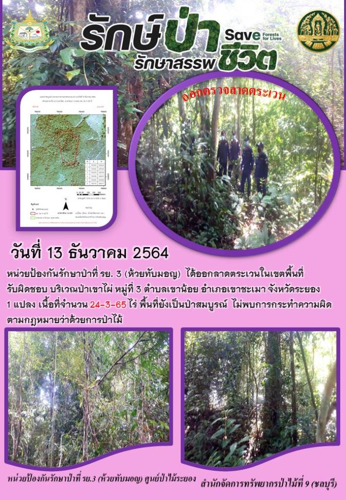 วันที่ 13 ธันวาคม 2564 หน่วยป้องกันรักษาป่าที่ รย.3 (ห้วยทับมอญ) ได้ออกลาดตระเวนในเขตพื้นที่รับผิดชอบ บริเวณป่าเขาไผ่ หมู่ที่ 3 ตำบลเขาน้อย อำเภอเขาชะเมา จังหวัดระยอง จำนวน 1 แปลง เนื้อที่ 24-3-65 ไร่ พื้นที่ยังเป็นป่าสมบูรณ์ ไม่พบการกระทำความผิดตามกฎหมายว่าด้วยการป่าไม้