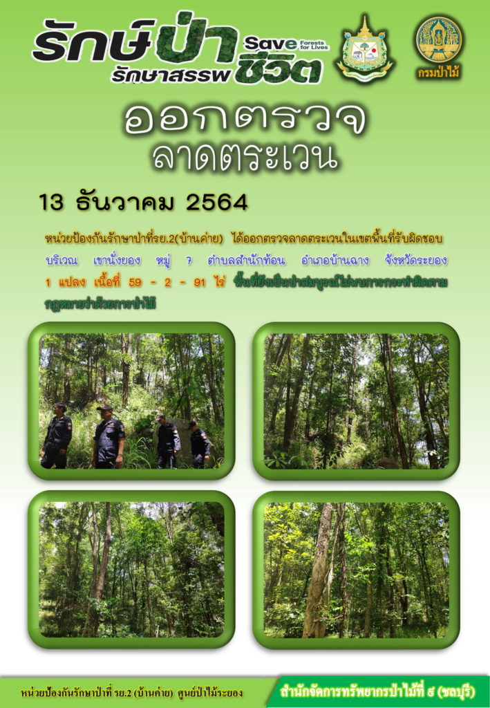 วันที่ 13 ธันวาคม 2564 หน่วยป้องกันรักษาป่าที่ รย.2 (บ้านค่าย) ได้ออกตรวจลาดตระเวนในเขตพื้นที่รับผิดชอบ บริเวณเขานั่งยอง หมู่ที่ 7 ตำบลสำนักท้อน อำเภอบ้านฉาง จังหวัดระยอง จำนวน 1 แปลง เนื้อที่ 59-2-91 ไร่ พื้นที่ยังเป็นป่าสมบูรณ์ ไม่พบการกระทำผิดตามกฎหมายว่าด้วยการป่าไม้