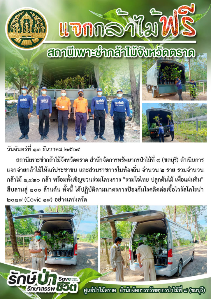 วันที่ 13 ธันวาคม 2564 สถานีเพาะชำกล้าไม้จังหวัดตราด สำนักจัดการทรัพยากรป่าไม้ที่ 9 (ชลบุรี) ดำเนินการแจกจ่ายกล้าไม้ให้แก่ประชาชน และส่วนราชการในท้องถิ่น จำนวน 2 ราย รวมจำนวนกล้าไม้ 1,430 กล้า พร้อมทั้งเชิญชวนร่วมโครงการ "รวมใจไทย ปลูกต้นไม้ เพื่อแผ่นดิน" สืบสานสู่ 100 ล้านต้น ทั้งนี้ได้ปฏิบัติตามมาตรการป้องกันโรคติดเชื้อไวรัสโคโรน่า 2019 (Covid-19) อย่างเคร่งครัด