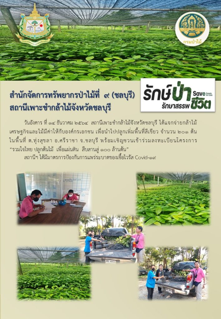 วันที่ 14 ธันวาคม 2564 สถานีเพาะชำกล้าไม้จังหวัดชลบุรี ได้แจกจ่ายกล้าไม้เศรษฐกิจและไม้มีค่าให้กับองค์กรเอกชน เพื่อนำไปปลูกเพิ่มพื้นที่สีเขียว จำนวน 201 ต้น ในพื้นที่ตำบลทุ่งสุขลา อำเภอศรีราชา จังหวัดชลบุรี พร้อมเชิญชวนเข้าร่วมลงทะเบียนโครงการ "รวมใจไทย ปลูกต้นไม้ เพื่อแผ่นดิน" สืบสานสู่ 100 ล้านต้น