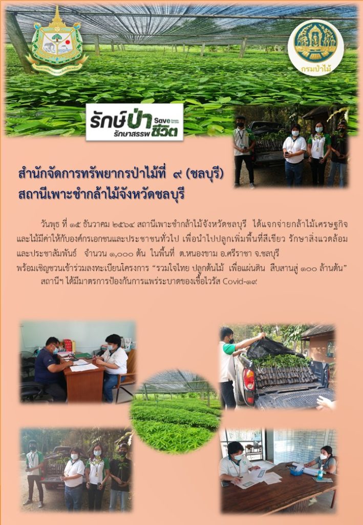 วันที่ 15 ธันวาคม 2564 สถานีเพาะชำกล้าไม้จังหวัดชลบุรี ได้แจกจ่ายกล้าไม้เศรษฐกิจและไม้มีค่าให้กับองค์กรเอกชนและประชาชนทั่วไป เพื่อนำไปปลูกเพิ่มพื้นที่สีเขียว รักษาสิ่งแวดล้อม และประชาสัมพันธ์ จำนวน 1,000 ต้น ในพื้นที่ตำบลหนองขาม อำเภอศรีราชา จังหวัดชลบุรี พร้อมเชิญชวนเข้าร่วมลงทะเบียนโครงการ "รวมใจไทย ปลูกต้นไม้ เพื่อแผ่นดิน" สืบสานสู่ 100 ล้านต้น