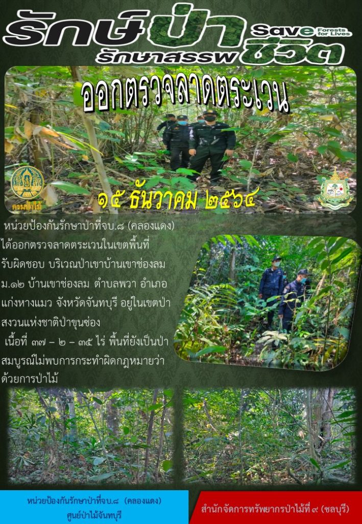 วันที่ 15 ธันวาคม 2564 หน่วยป้องกันรักษาป่าที่ จบ.8 (คลองแดง) ได้ออกตรวจลาดตระเวนในเขตพื้นที่รับผิดชอบ บริเวณป่าเขาบ้านเขาช่องลม หมู่ที่ 12 บ้านเขาช่องลม ตำบลพวา อำเภอแก่งหางแมว จังหวัดจันทบุรี อยู่ในเขตป่าสงวนแห่งชาติป่าขุนซ่อง เนื้อที่ 37-2-35 ไร่ พื้นที่ยังเป็นป่าสมบูรณ์ ไม่พบการกระทำผิดกฎหมายว่าด้วยการป่าไม้