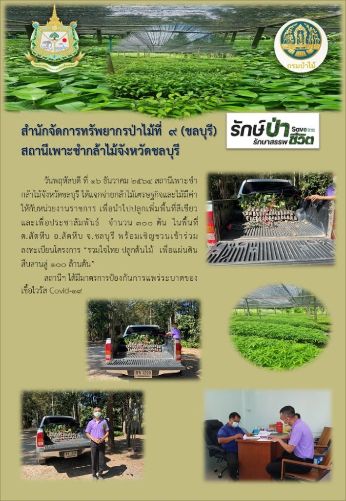 วันที่ 16 ธันวาคม 2564 สถานีเพาะชำกล้าไม้จังหวัดชลบุรี ได้แจกจ่ายกล้าไม้เศรษฐกิจและไม้มีค่าให้กับหน่วยงานราชการ เพื่อนำไปปลูกเพิ่มพื้นที่สีเขียว และเพื่อประชาสัมพันธ์ จำนวน 300 ต้น ในพื้นที่ตำบลสัตหีบ อำเภอสัตหีบ จังหวัดชลบุรี พร้อมเชิญชวนเข้าร่วมลงทะเบียนโครงการ "รวมใจไทย ปลูกต้นไม้ เพื่อแผ่นดิน" สืบสานสู่ 100 ล้านต้น
