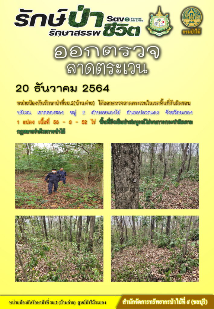 วันที่ 20 ธันวาคม 2564 หน่วยป้องกันรักษาป่าที่ รย.2 (บ้านค่าย) ได้ออกตรวจลาดตระเวนในเขตพื้นที่รับผิดชอบ บริเวณเขาคลองซอง หมู่ที่ 2 ตำบลหนองไร่ อำเภอปลวกแดง จังหวัดระยอง จำนวน 1 แปลง เนื้อที่ 58-3-52 ไร่ พื้นที่ยังเป็นป่าสมบูรณ์ ไม่พบการกระทำผิดตามกฎหมายว่าด้วยการป่าไม้