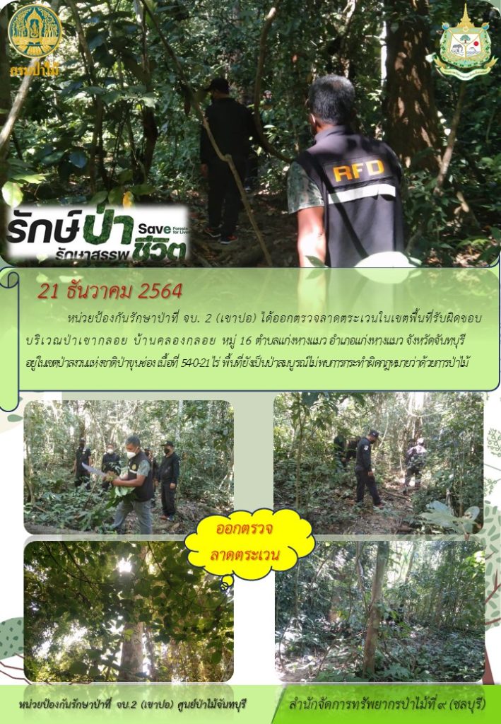 วันที่ 21 ธันวาคม 2564 หน่วยป้องกันรักษาป่าที่ จบ.2 (เขาปอ) ได้ออกตรวจลาดตระเวนในเขตพื้นที่รับผิดชอบ บริเวณป่าเขากลอย บ้านคลองกลอย หมู่ที่ 16 ตำบลแก่งหางแมว จังหวัดจันทบุรี อยู่ในเขตป่าสงวนแห่งชาติป่าขุนซ่อง เนื้อที่ 54-0-21 ไร่ พื้นที่ยังเป็นป่าสมบูรณ์ ไม่พบการกระทำผิดกฎหมายว่าด้วยการป่าไม้