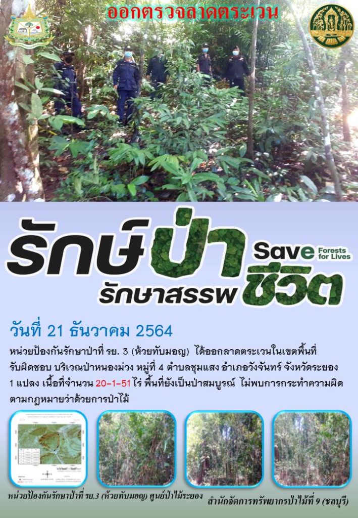 วันที่ 21 ธันวาคม 2564 หน่วยป้องกันรักษาป่าที่ รย.3 (ห้วยทับมอญ) ได้ออกลาดตระเวนในเขตพื้นที่รับผิดชอบ บริเวณป่าหนองม่วง หมู่ที่ 4 ตำบลชุมแสง อำเภอวังจันทร์ จังหวัดระยอง จำนวน 1 แปลง เนื้อที่ 20-1-51 ไร่ พื้นที่ยังเป็นป่าสมบูรณ์ ไม่พบการกระทำความผิดตามกฎหมายว่าด้วยการป่าไม้