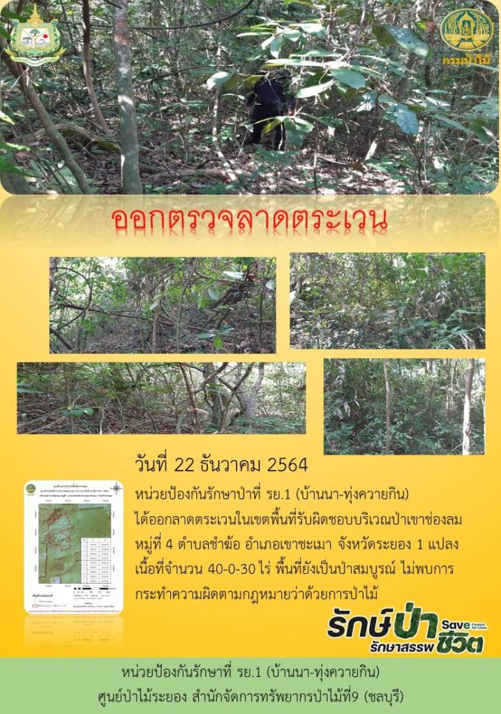 วันที่ 22 ธันวาคม 2564 หน่วยป้องกันรักษาป่าที่ รย.1 (บ้านนา-ทุ่งควายกิน) ได้ออกลาดตระเวนในเขตพื้นที่รับผิดชอบ บริเวณป่าเขาช่องลม หมู่ที่ 4 ตำบลชำฆ้อ อำเภอเขาชะเมา จังหวัดระยอง จำนวน 1 แปลง เนื้อที่ 40-0-30 ไร่ พพื้นที่ยังเป็นป่าสมบูรณ์ ไม่พบการกระทำความผิดตามกฎหมายว่าด้วยการป่าไม้