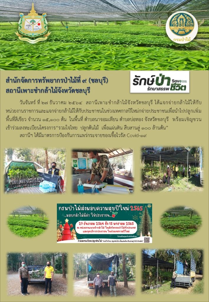 วันที่ 27 ธันวาคม 2564 สถานีเพาะชำกล้าไม้จังหวัดชลบุรี ได้แจกจ่ายกล้าไม้ให้กับหน่วยงานราชการและแจกจ่ายกล้าให้กับประชาชนในช่วงเทศกาลปีใหม่ เพื่อนำไปปลูกเพิ่มพื้นที่สีเขียว จำนวน 15,100 ต้น ในพื้นที่ตำบลนาจอมเทียน ตำบลบ่อทอง จังหวัดชลบุรี พร้อมเชิญชวนเข้าร่วมโครงการ "รวมใจไทย ปลูกต้นไม้ เพื่อแผ่นดิน สืบสานสู่ 100 ล้านต้น"
