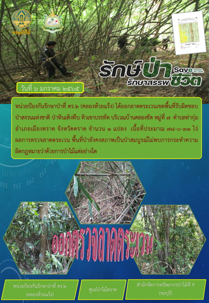 วันที่ 6 มกราคม 2565 หน่วยป้องกันรักษาป่าที่ ตร.2 (คลองห้วยแร้ง) ได้ออกลาดตระเวนเขตพื้นที่รับผิดชอบป่าสงวนแห่งชาติ ป่าหินเพิงทึบ ทิวเขาบรรทัด บริเวณบ้านคลองขัด หมู่ที่ 7 ตำบลท่ากุ่ม อำเภอเมืองตราด จังหวัดตราด จำนวน 1 แปลง เนื้อที่ 78-0-31 ไร่ ผลการตรวจลาดตระเวน พื้นที่ป่ายังคงสภาพเป็นป่าสมบูรณ์ ไม่พบการกระทำความผิดตามกฎหมายว่าด้วยการป่าไม้แต่อย่างใด